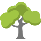 Rock Hill Tree Trimming