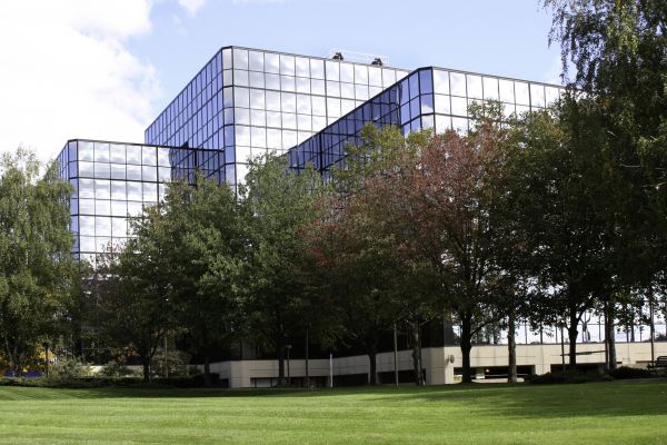 Commercial Tree Trimming in Rock Hill