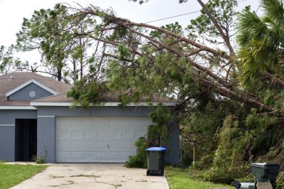 Storm Damage Tree Clearing
